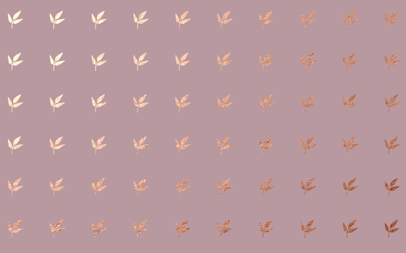 16.png