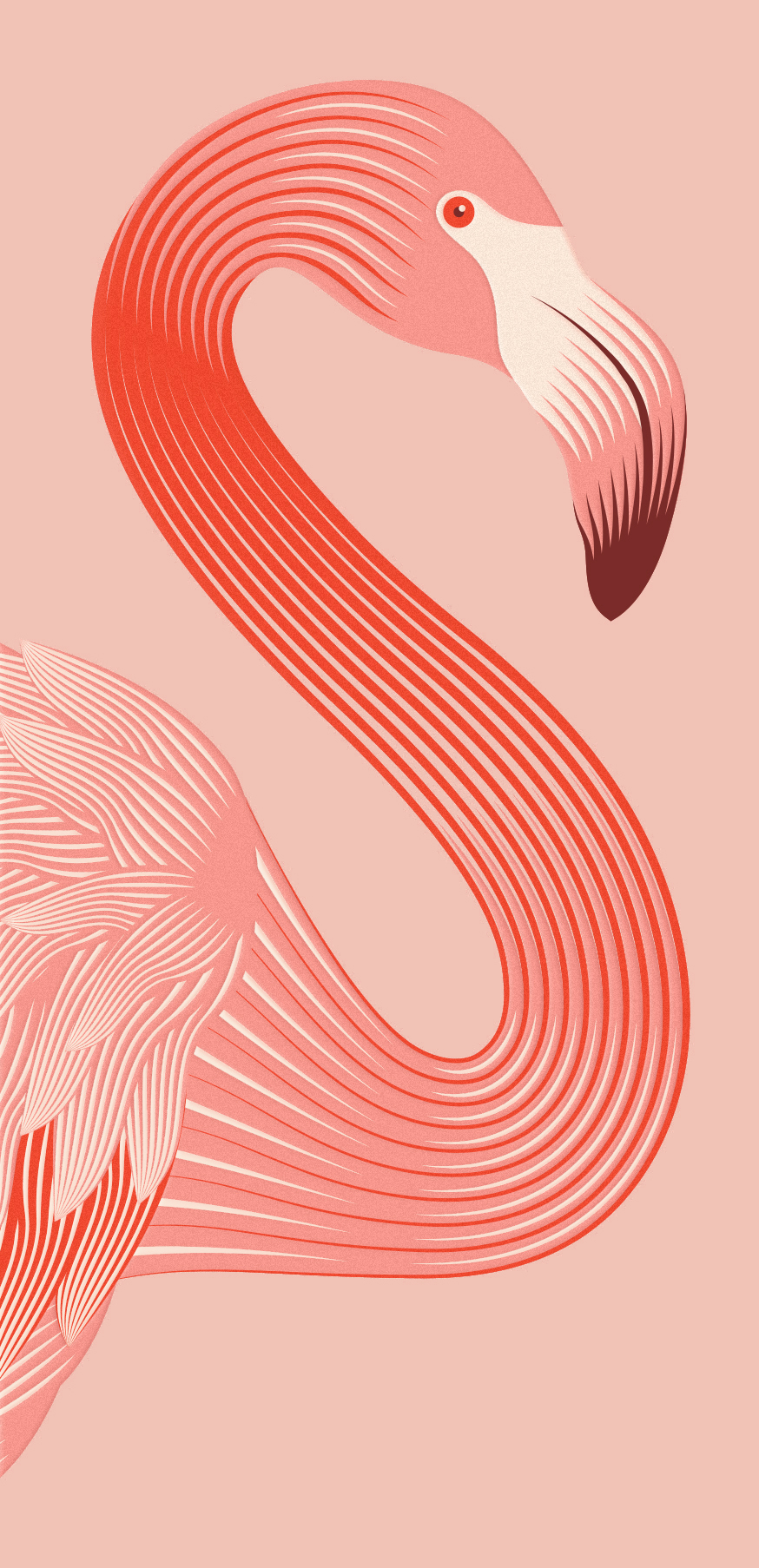 Rose Flamingo Wine  玫瑰火烈鸟酒包装4.jpg