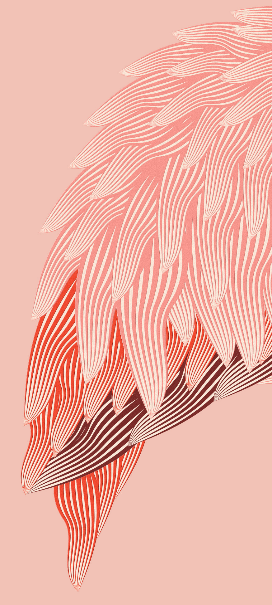 Rose Flamingo Wine  玫瑰火烈鸟酒包装5.jpg